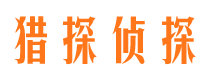 碑林市私家侦探